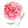 carnation_pink_42.gif